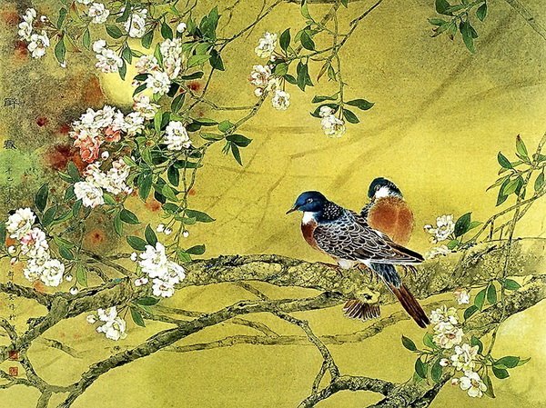 Постер Птицы (Birds)