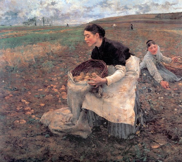Репродукция посев Репродукция посев