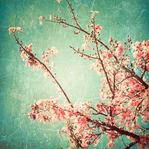 Постер Дерево в цветах (Tree in bloom)