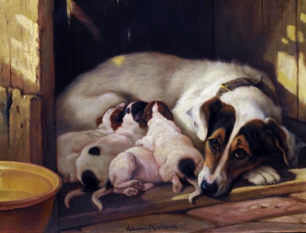 Постер Собака и щенки (Dog and Puppy)