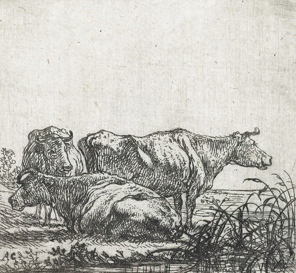 Репродукция картины Три коровы - Кейп Альберт