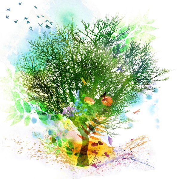 Постер Дерево (Tree)