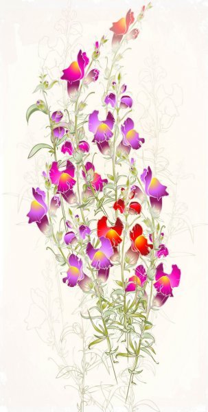 Постер Цветы (Flowers)