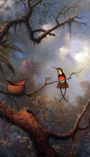 Репродукция картины Колибри (Humming-bird) - Хэд Мартин Джонсон