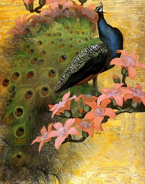 Постер Павлин (Peacock)