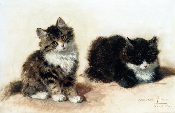 Постер Котята (Kittens)