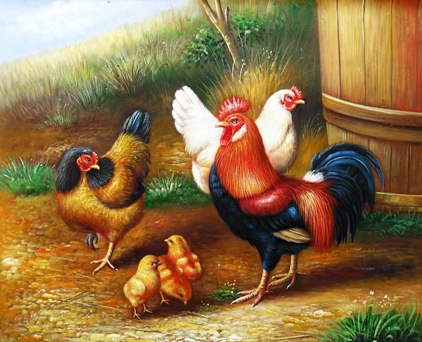 Постер Курицы (Chickens)