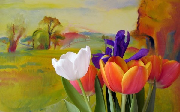 Постер Цветы (Flowers)