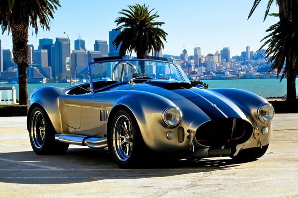 Постер Шелби кобра (Shelby cobra)